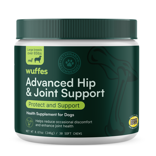 Advanced Hip & Joint Support for Large Breeds
